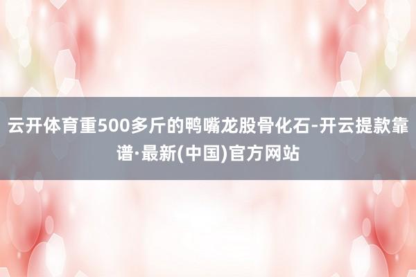 云开体育重500多斤的鸭嘴龙股骨化石-开云提款靠谱·最新(中国)官方网站