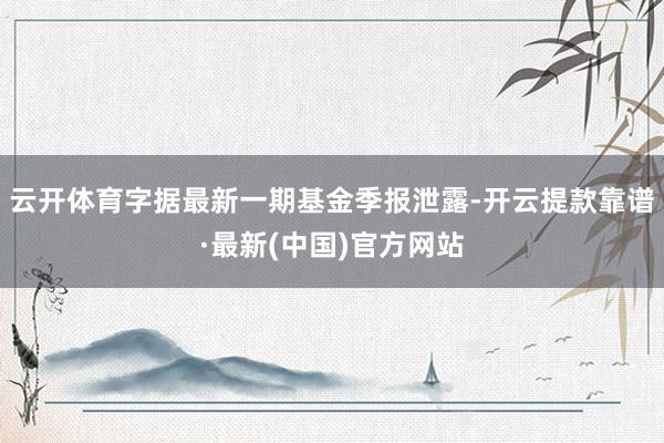 云开体育字据最新一期基金季报泄露-开云提款靠谱·最新(中国)官方网站