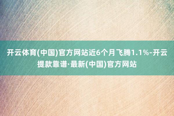 开云体育(中国)官方网站近6个月飞腾1.1%-开云提款靠谱·最新(中国)官方网站