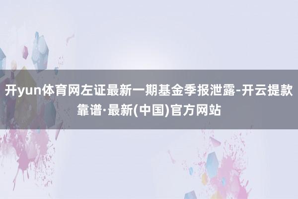 开yun体育网左证最新一期基金季报泄露-开云提款靠谱·最新(中国)官方网站